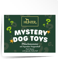 HUNTER MYSTERY