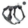 Geschirr Divo 34-47/Xs Nylon/Polyester Grau/Grau 1