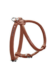 Harness R&amp;S Canadian UP 37-43/XS-S Cowleather cognac 1