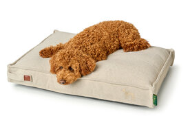 Cushion Belluno 120x80 cm Cotton creme