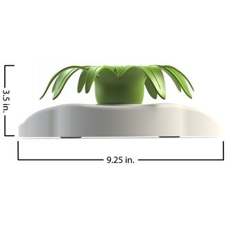 Aikiou Interactive Bowl Flower White/Green 5 stuks