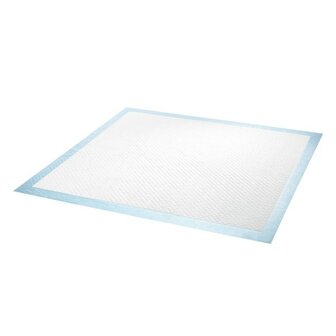 Puppy Pads 60Cm X60 Cm,  10Er Pack  6