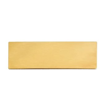 Plaatje Groot (25 Mm X 76 Mm) Goud Adhesive Plate  (Zolang D