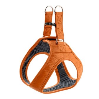 Geschirr Hilo 33-37/Xs Rindsleder Orange 1