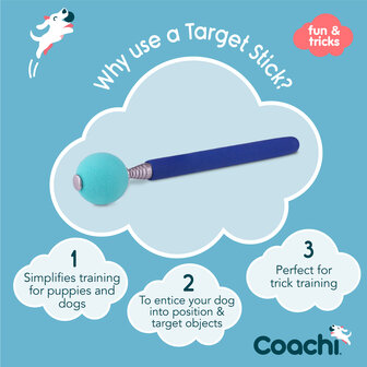 Coachi Target Stick Navy &amp; Light Blue