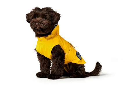 Coat Milford 25 Polyester yellow