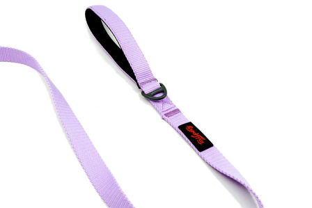 Tailpets lilac match leash