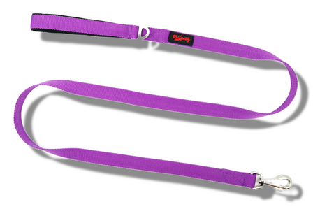 Tailpets purple match leash