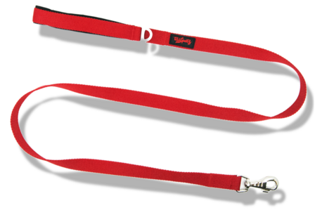Tailpets red match leash