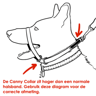 Canny Collar size 7 Black