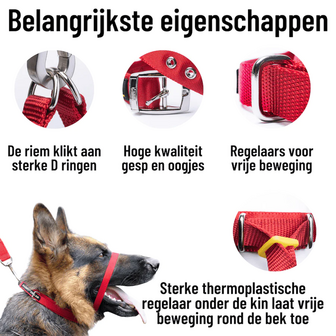 Canny Collar size 7 Black