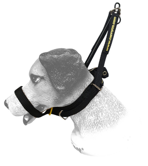 Canny Collar size 2 Black