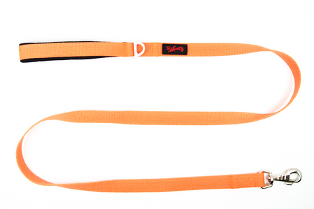 Tailpetz Neo Orange Match Leash
