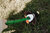 Toy Dog Flingerz Furry Squirrel with launcher