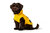 Coat Milford 25 Polyester yellow