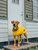 Coat Milford 30 Polyester yellow