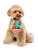 Fuzzyard Dog Toy - Humble Holiday Ham