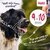 Halti Headcollar Black Size 1
