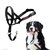Halti Headcollar Black Size 5