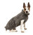 FuzzYard Sweater - Turtle Teddy - Gunmetal Grey 3