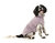 FuzzYard Sweater - Turtle Teddy - Lavender 3