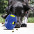 KONG Dog Toy Tikr LG  PTK1E