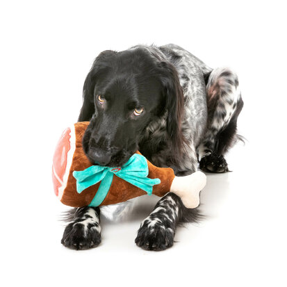 Fuzzyard Dog Toy - Humble Holiday Ham