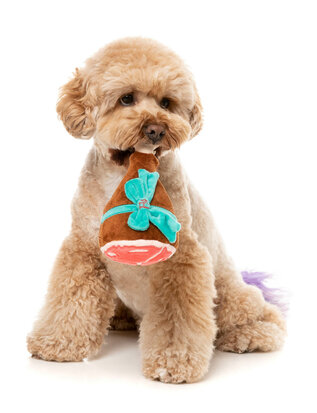 Fuzzyard Dog Toy - Humble Holiday Ham