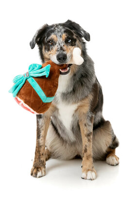 Fuzzyard Dog Toy - Humble Holiday Ham