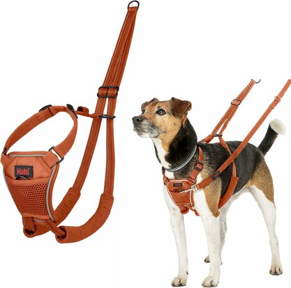 Halti No Pull Harness Burnt Orange Medium