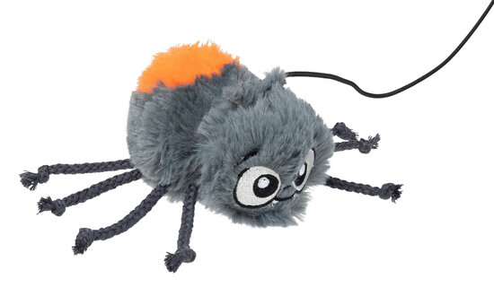Cat Toy - Arachnate The Spider