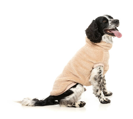 TURTLE TEDDY 25 SWEATER - DESERT TAN 3