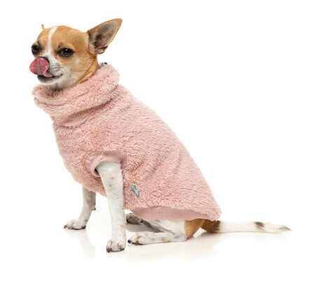 TURTLE TEDDY 25 SWEATER - BLOSSOM PINK 2