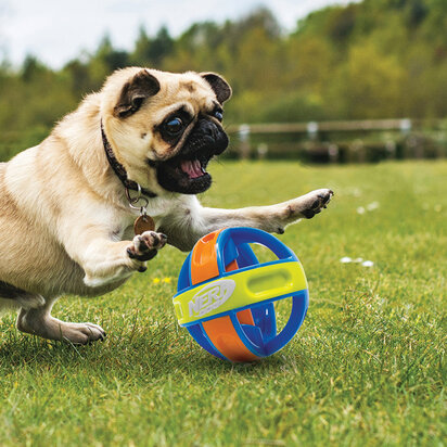 Nerf Dog Giechelbal 5 inch