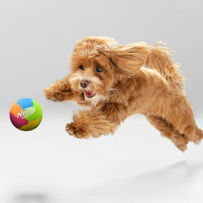 Nerf Dog Rubber Super Stuiterbal 3.8 inch