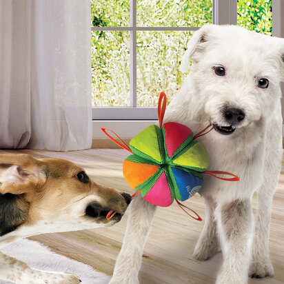 Nerf Dog Pluche Bal  5.9 inch