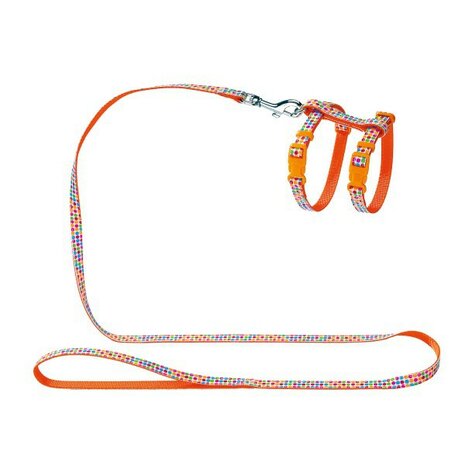 Garnitur Welpen- Und Katzen Nylon Orange 3