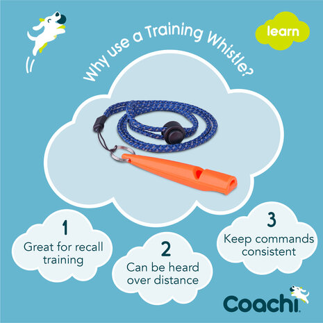 Coachi Training Whistle Coral