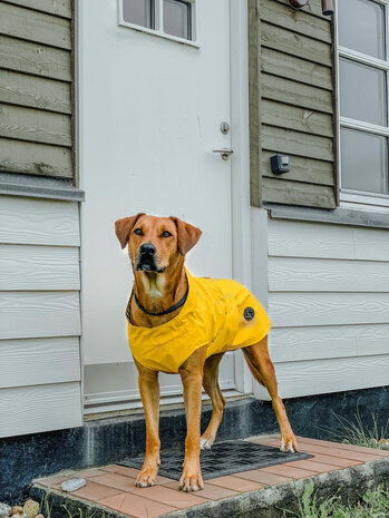 Coat Milford 25 Polyester yellow
