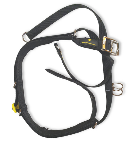 Canny Collar size 6 Black