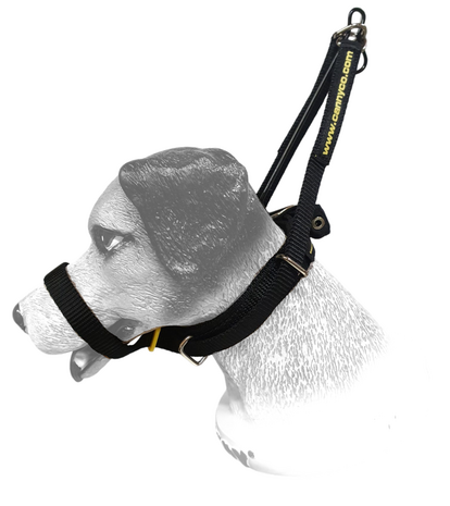 Canny Collar size 2 Black