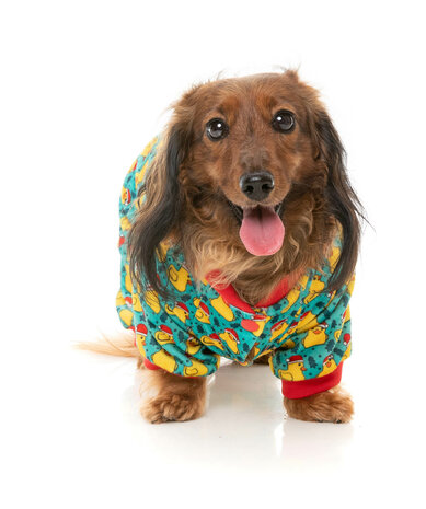 FuzzYard Pyjama - Merry Quackmas 4