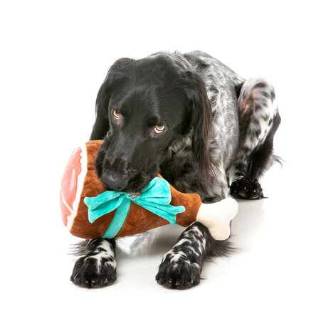 Fuzzyard Dog Toy - Humble Holiday Ham