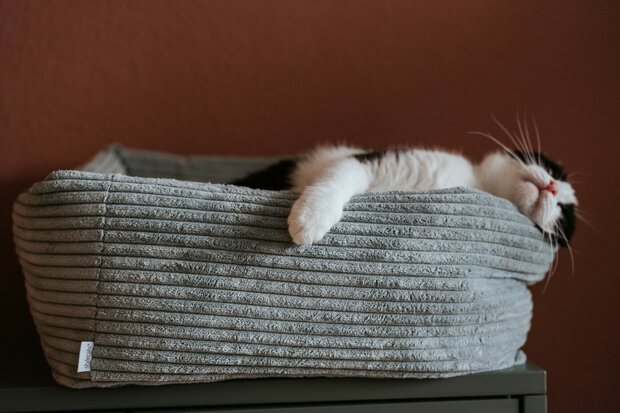Cat bed Rimini S (40 x 40 cm), light grey 1