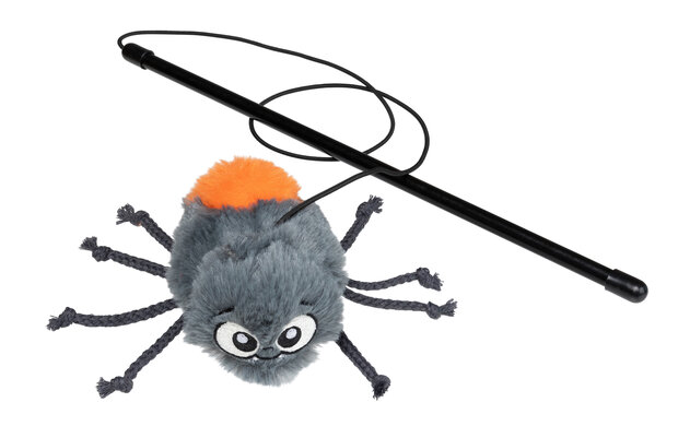 Cat Toy - Arachnate The Spider
