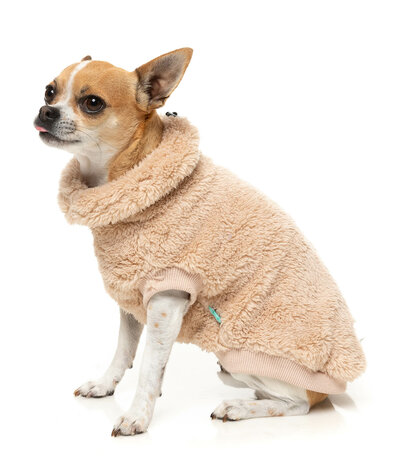 TURTLE TEDDY 25 SWEATER - DESERT TAN 2