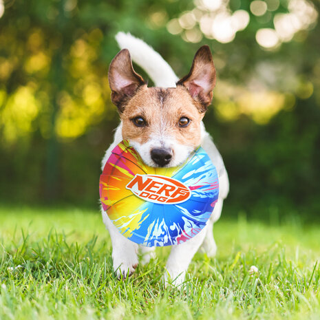 Nerf TPR Color Grip Frisbee 9.5 inch