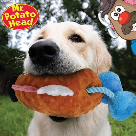 Hasbro Mr. Potato Head 11inch