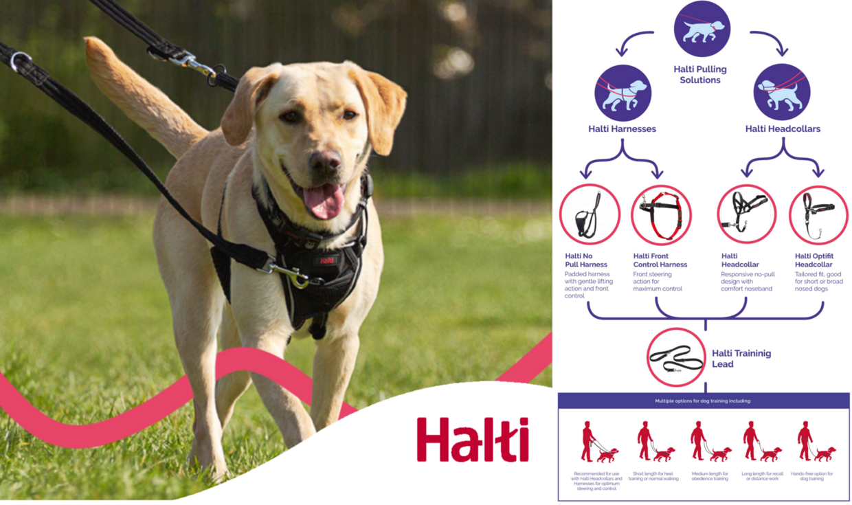 HALTI