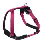 Geschirr Neopren 38-48/XS-S Nylon/Neopren, himbeer/schwarz 1 Geschirr Neopren 38-48/XS-S Nylon/Neopren, himbeer/schwarz 1